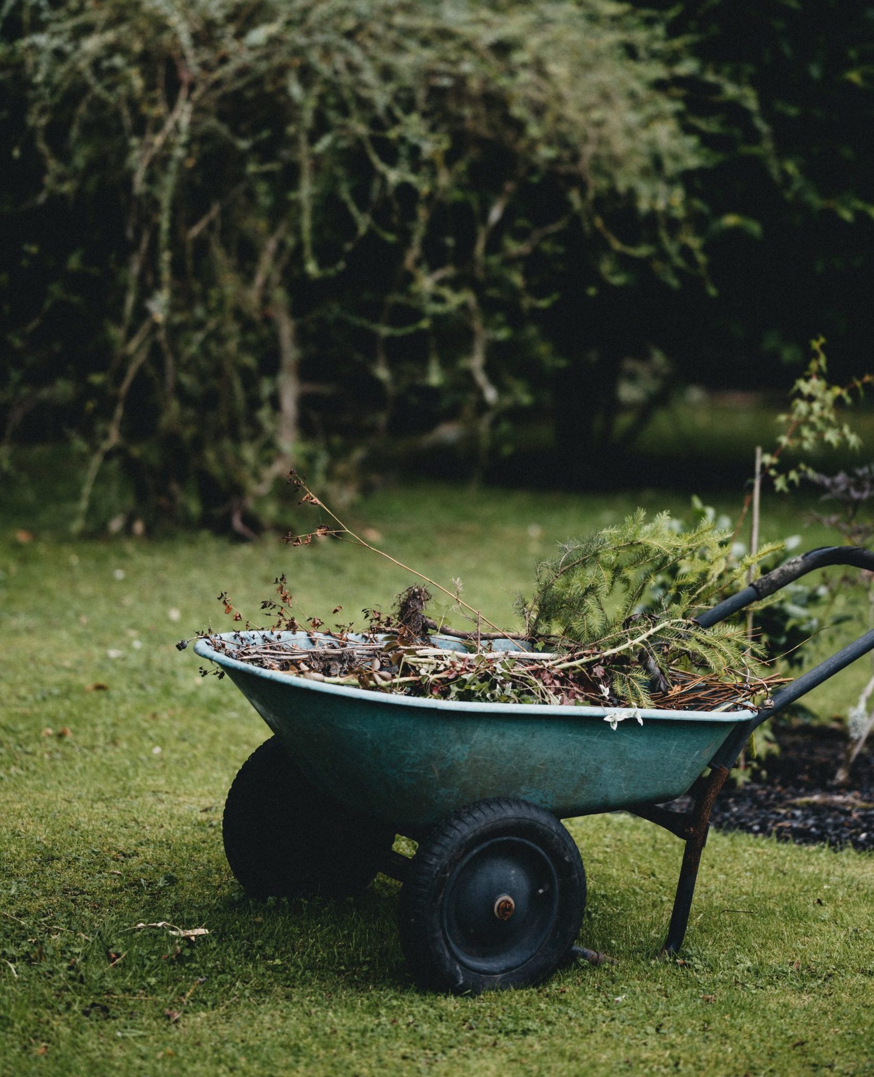 gardening-wheelbarrow